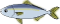 �u��