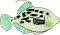 �J���n�M