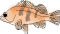 ���o��
